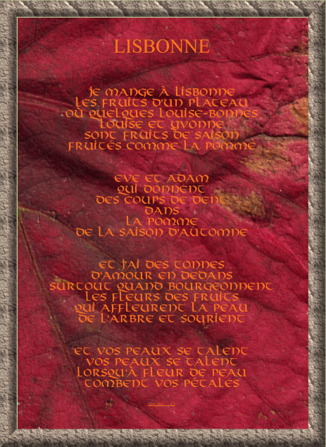 lisbonne.gif